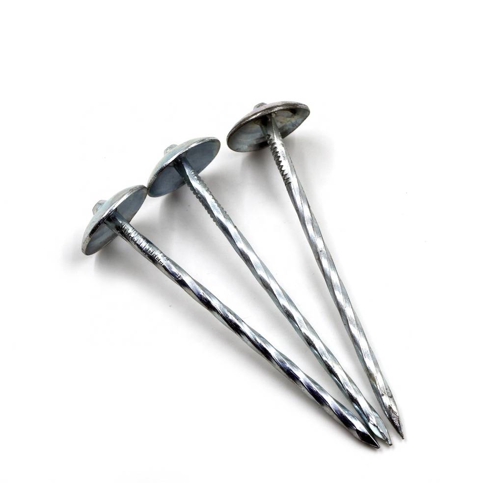 Galvanized Umbrella Roofing Nail Made In China